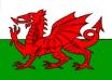 the flag of the red dragon was brought from Rome to Cymru - it is one of the oldest flags in europe. "wedding day" 2mrw.