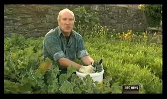 RTE 6.00 news: Community gardening taking root 