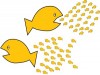 fishes_small.jpg