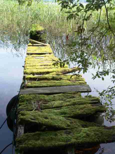 The Old Pier