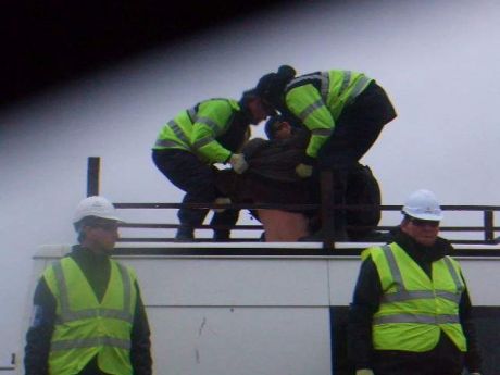 Garda removing protestor from the roof of his own van