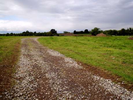 Looking north from Roestown