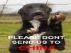 NO TO OUR FRIENDS RACING IN CHINA