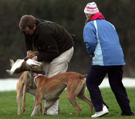 Coursing clubs say they love hares and conserve them...