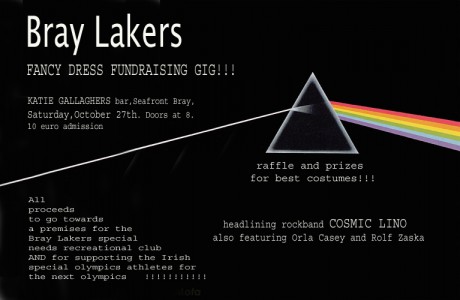Bray Lakers Fundraising gig!!