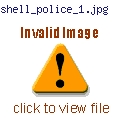 shell_police_1.jpg