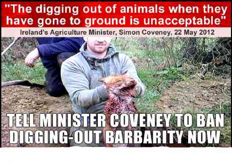 The "dig-out"...Minister Coveney says it's unacceptable...but will he ban it?